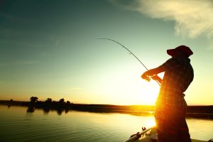 Pêche du brochet en automne