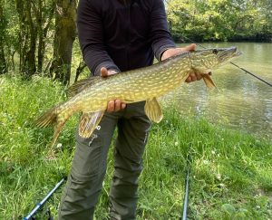 Pêche du brochet en début de saison